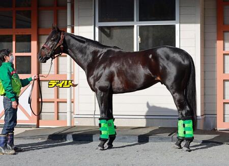 ジャスティンパレス　評価Ｂ