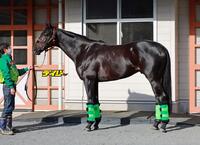 ジャスティンパレス