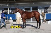 ブレイディヴェーグ