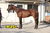 ホウオウビスケッツ