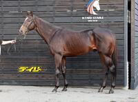 ペプチドナイル