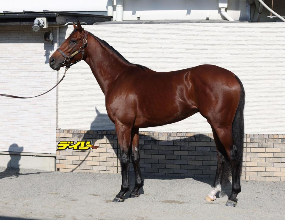 ナルカミ　評価Ａ