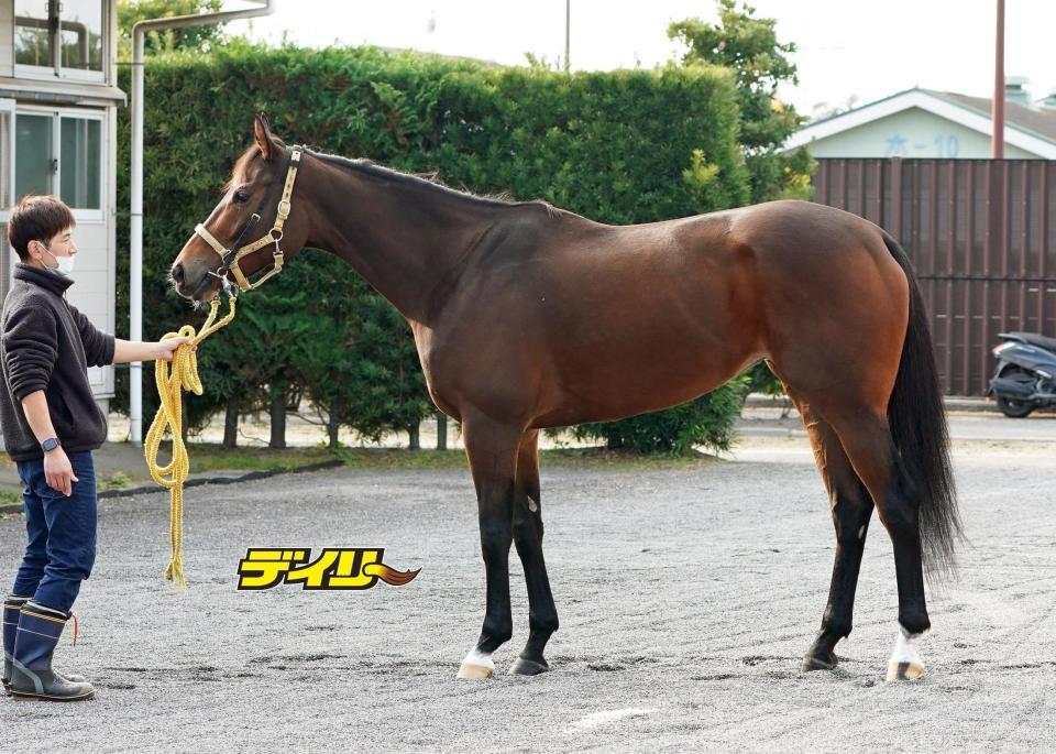 テンカジョウ　評価Ｂ