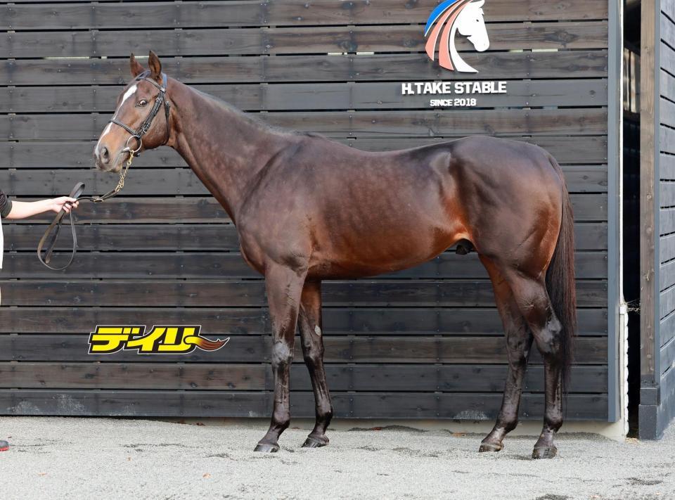 ペプチドナイル　評価Ｂ