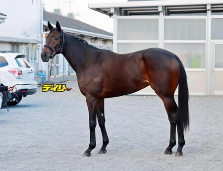 タイセイボーグ　評価Ｂ