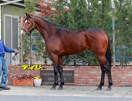 カヴァレリッツォ　評価Ｓ