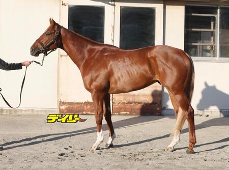 エコロアルバ　評価Ａ