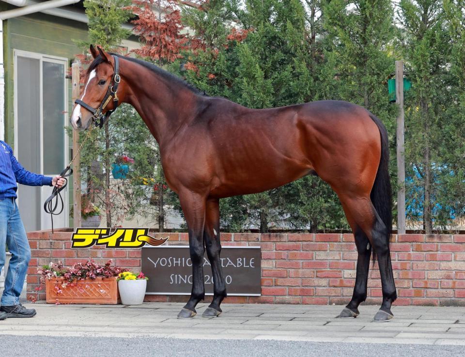 カヴァレリッツォ　評価Ｓ