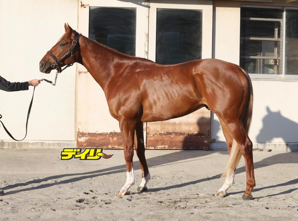 エコロアルバ　評価Ａ