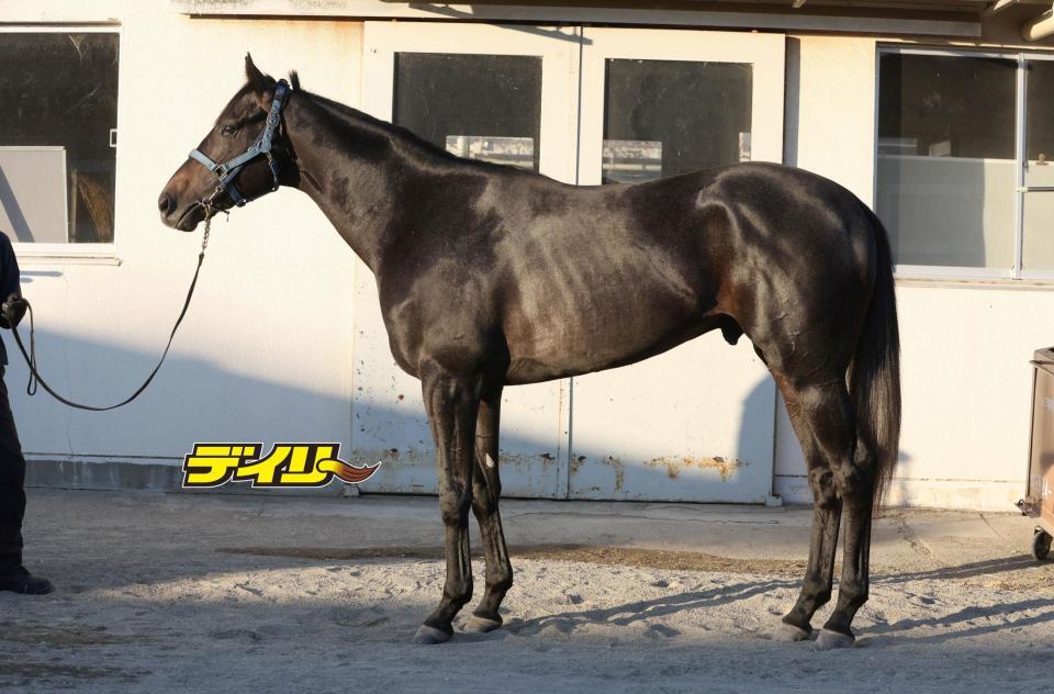 リアライズシリウス　評価Ｂ