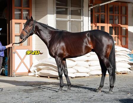 ミュージアムマイル　評価Ａ