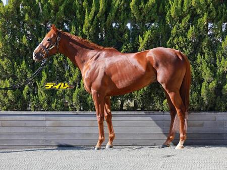 サンライズアース　評価Ｂ