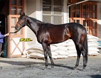 ミュージアムマイル