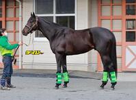 ジャスティンパレス