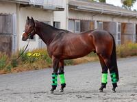 エルトンバローズ