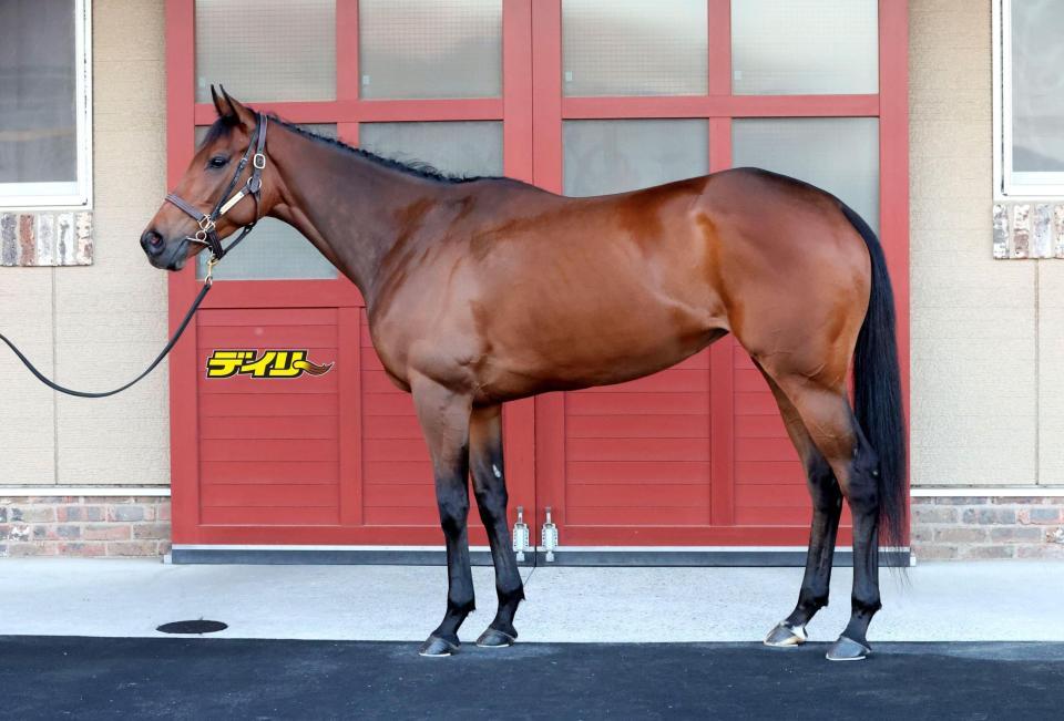 レガレイラ　評価Ａ