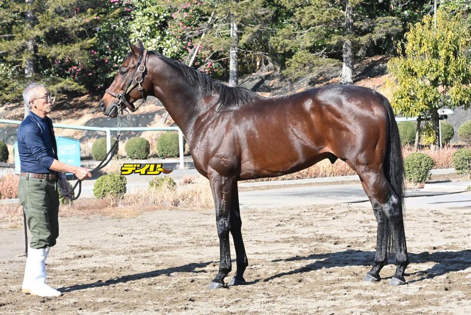 アラタ　評価Ｃ