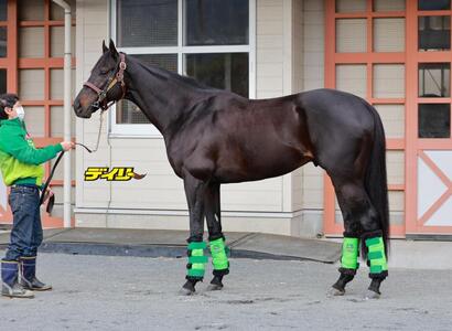 ジャスティンパレス