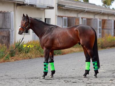 エルトンバローズ