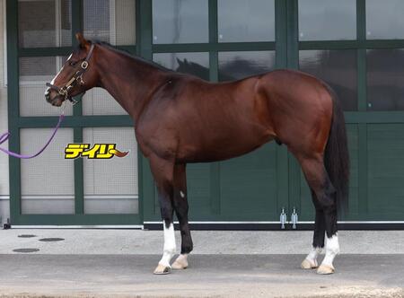 ナチュラルライズ　評価Ｂ