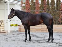 ロードクロンヌ