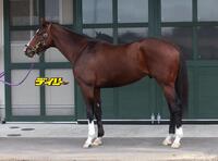 ナチュラルライズ