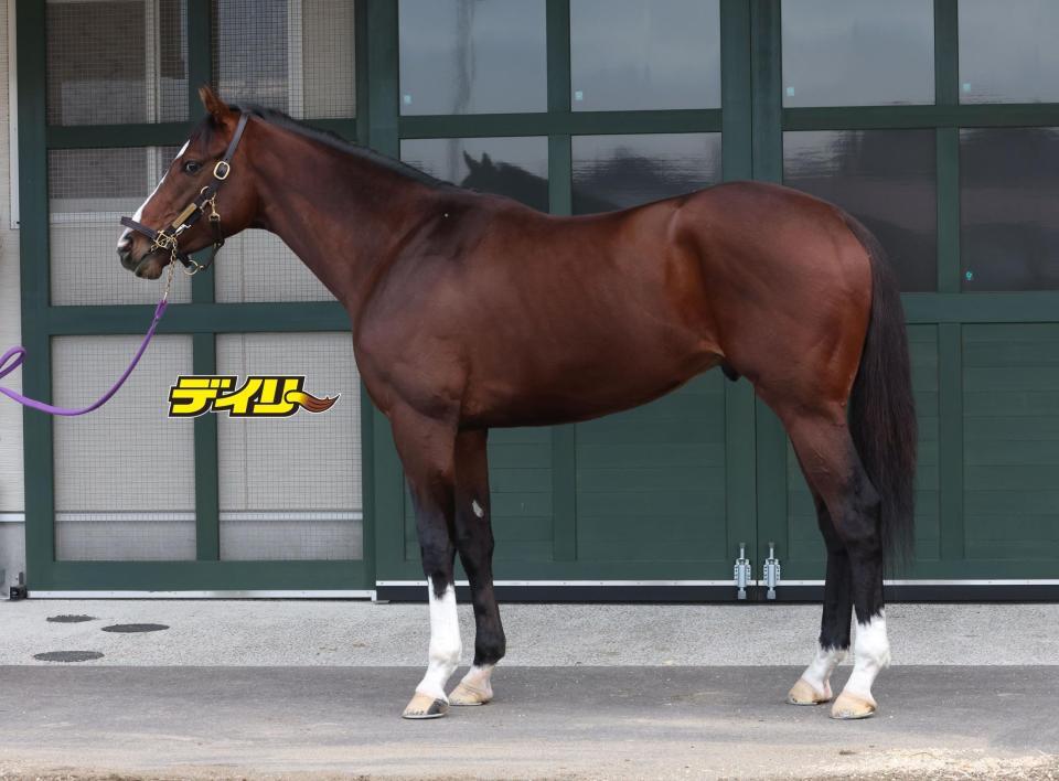 ナチュラルライズ　評価Ｂ