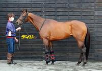 エーティーマクフィ