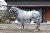 ララマセラシオン