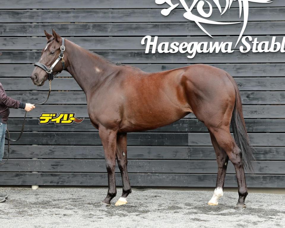 ナムラクレア　評価Ａ