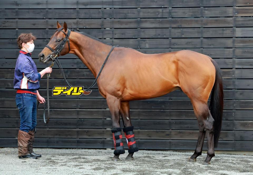 エーティーマクフィ　評価Ｃ