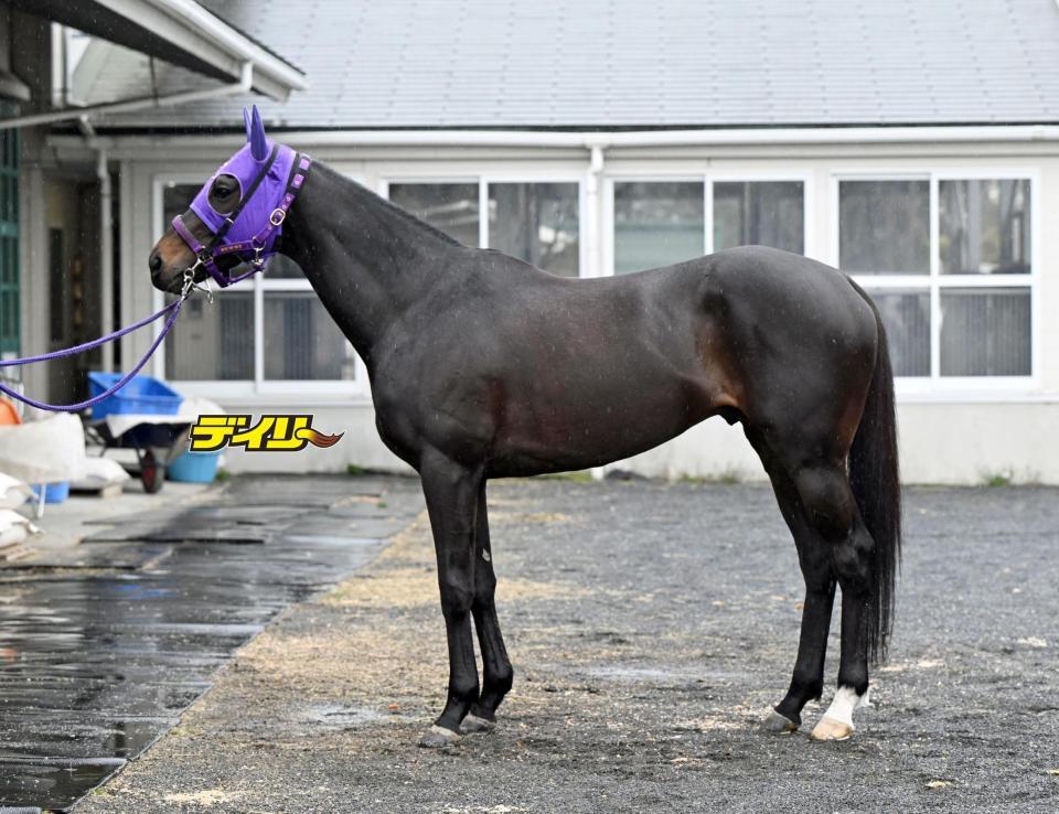 ペアポルックス　評価Ｂ