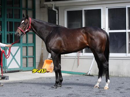 エコロヴァルツ　評価Ｂ