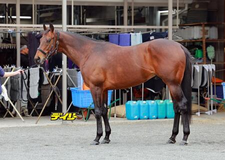 ヨーホーレイク　評価Ｃ