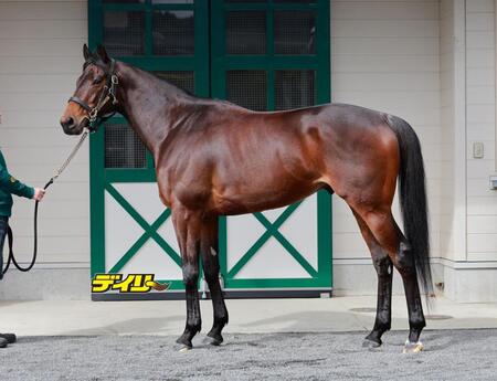 デビットバローズ　評価Ｃ