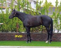 クロワデュノール