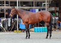 ヨーホーレイク