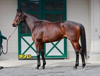 デビットバローズ