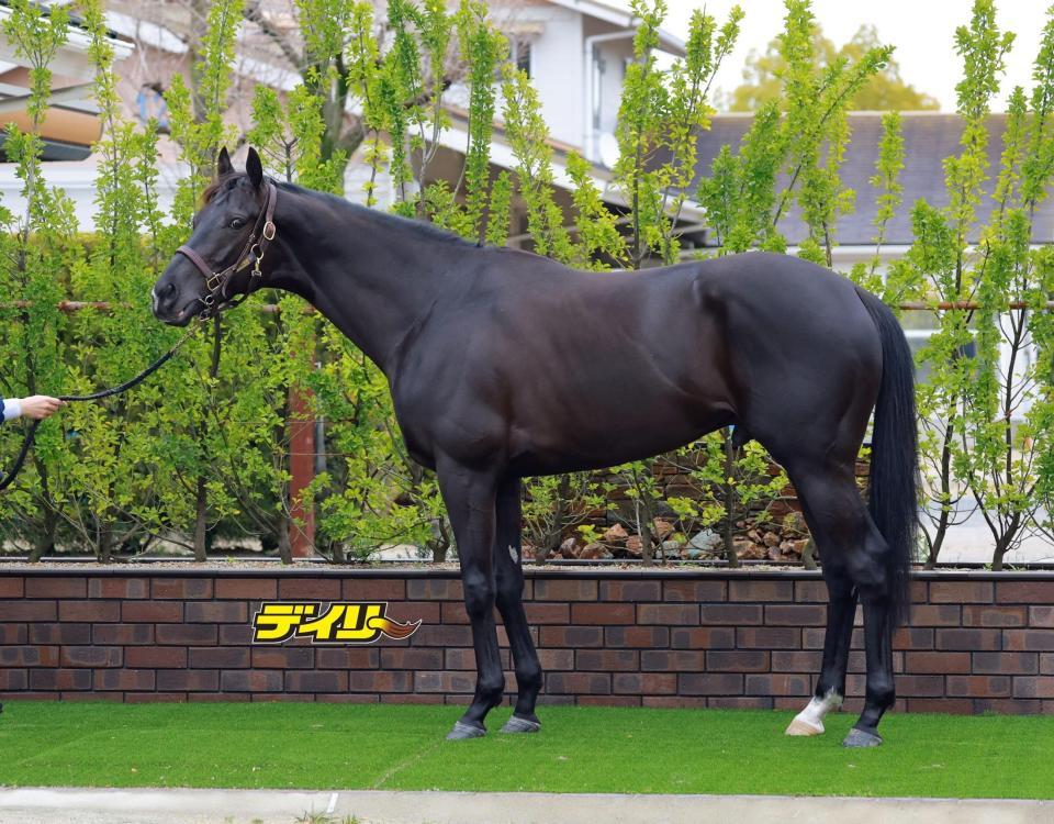 クロワデュノール　評価Ａ