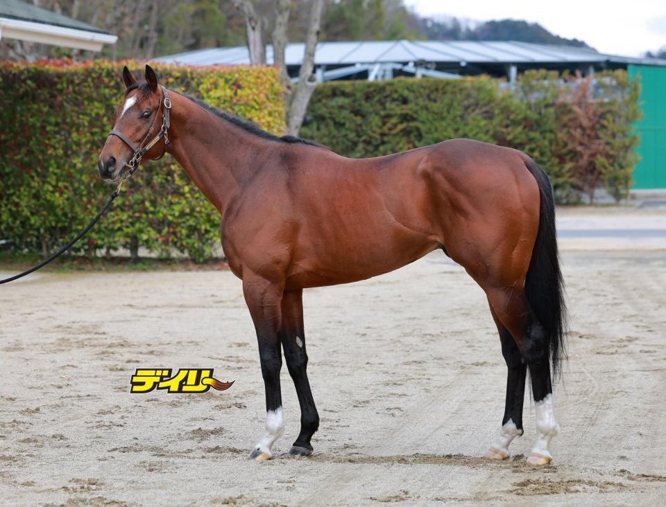 レーベンスティール　評価Ａ