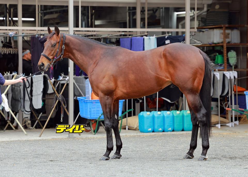 ヨーホーレイク　評価Ｃ