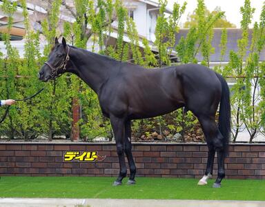 クロワデュノール