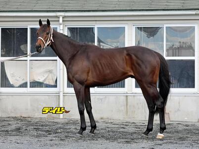 エコロディノス