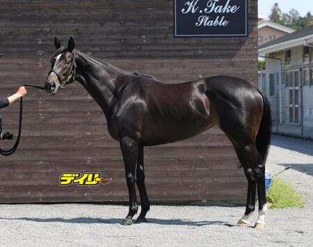 リリージョワ　評価Ａ