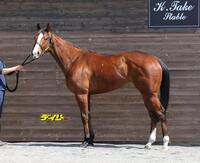 ブラックチャリス