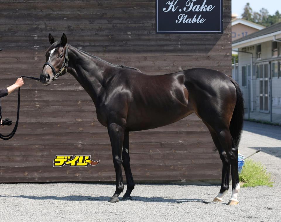 リリージョワ　評価Ａ