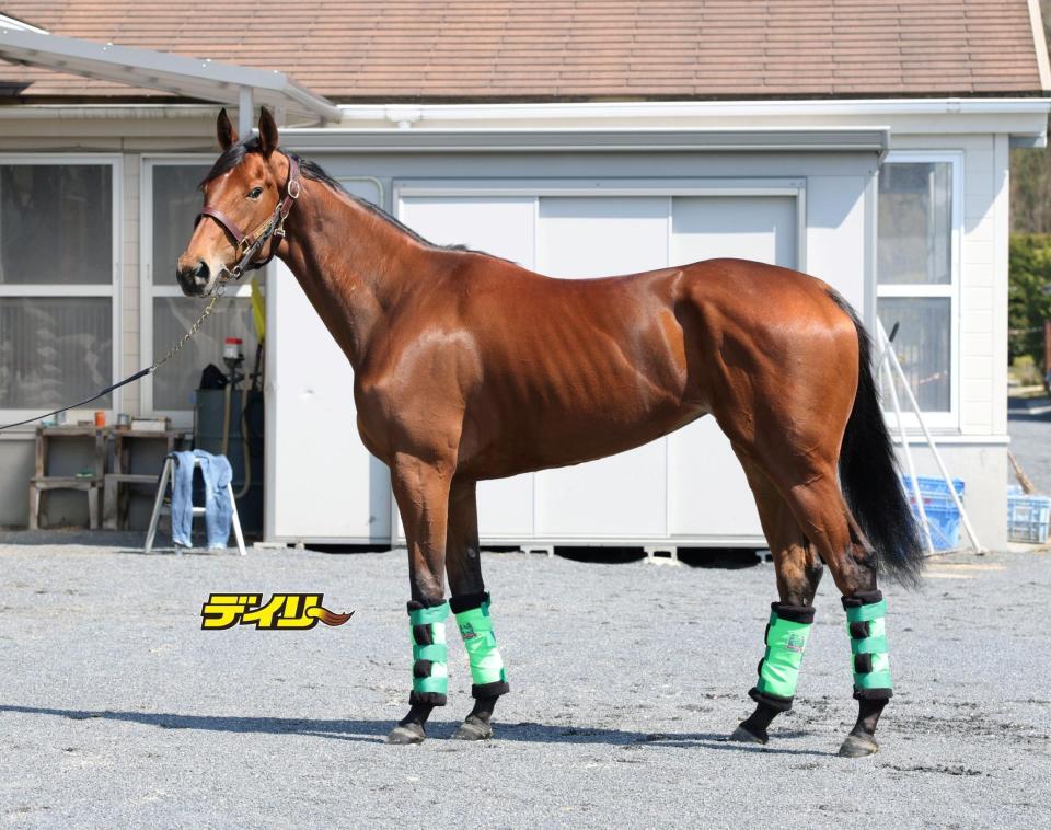 ギャラボーグ　評価Ｂ