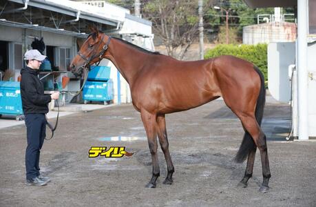 ジッピーチューン