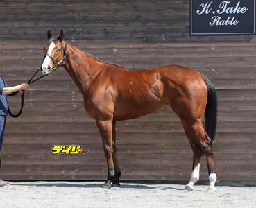 ブラックチャリス