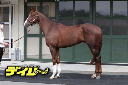 グリーンエナジー　評価　Ａ